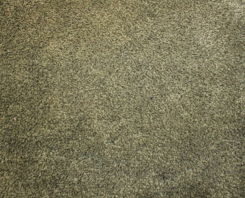 Turtle mat dirt trapper - turtle,
